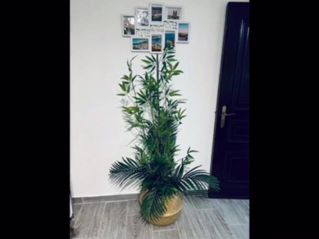 נאזרה Casinha Da Palmeira מראה חיצוני תמונה